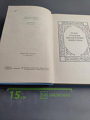 Годы учения Вильгельма Мейстера. Том 7