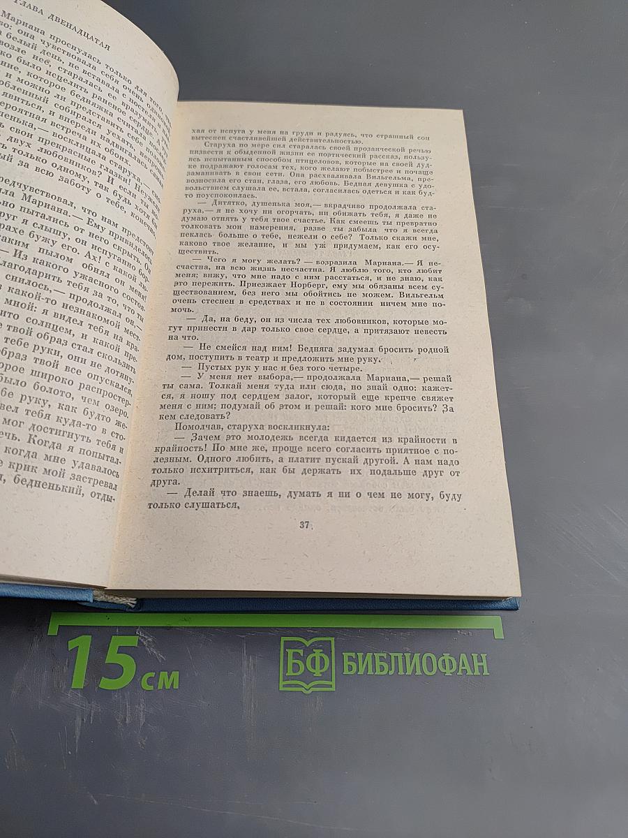 Годы учения Вильгельма Мейстера. Том 7