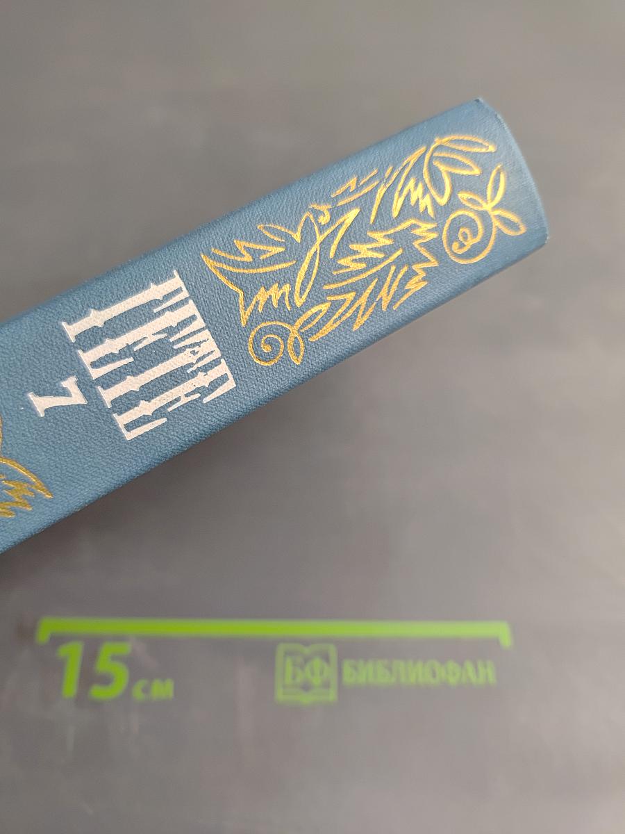 Годы учения Вильгельма Мейстера. Том 7