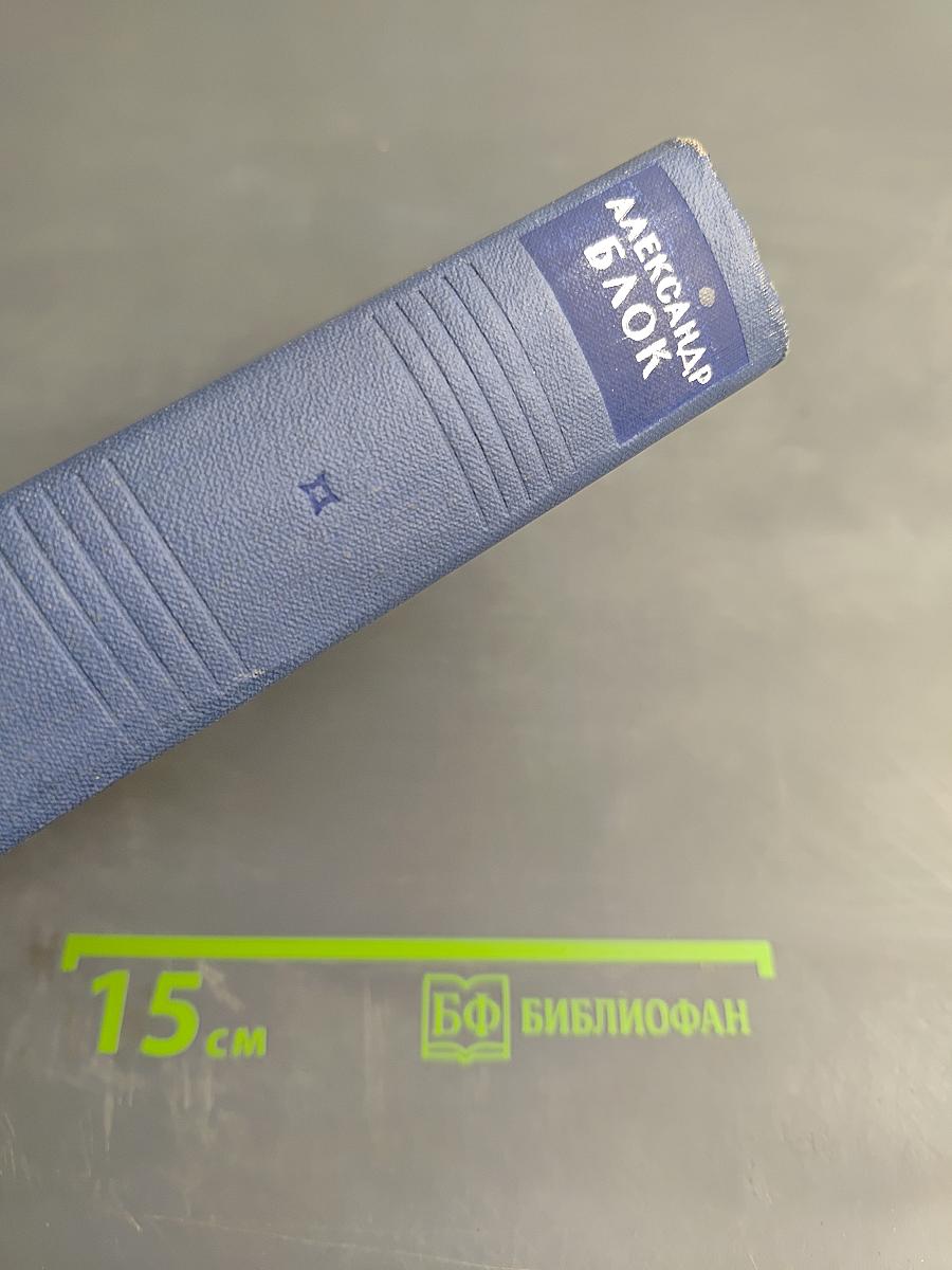 Собрание сочинений. Том шестой. Проза 1918–1921