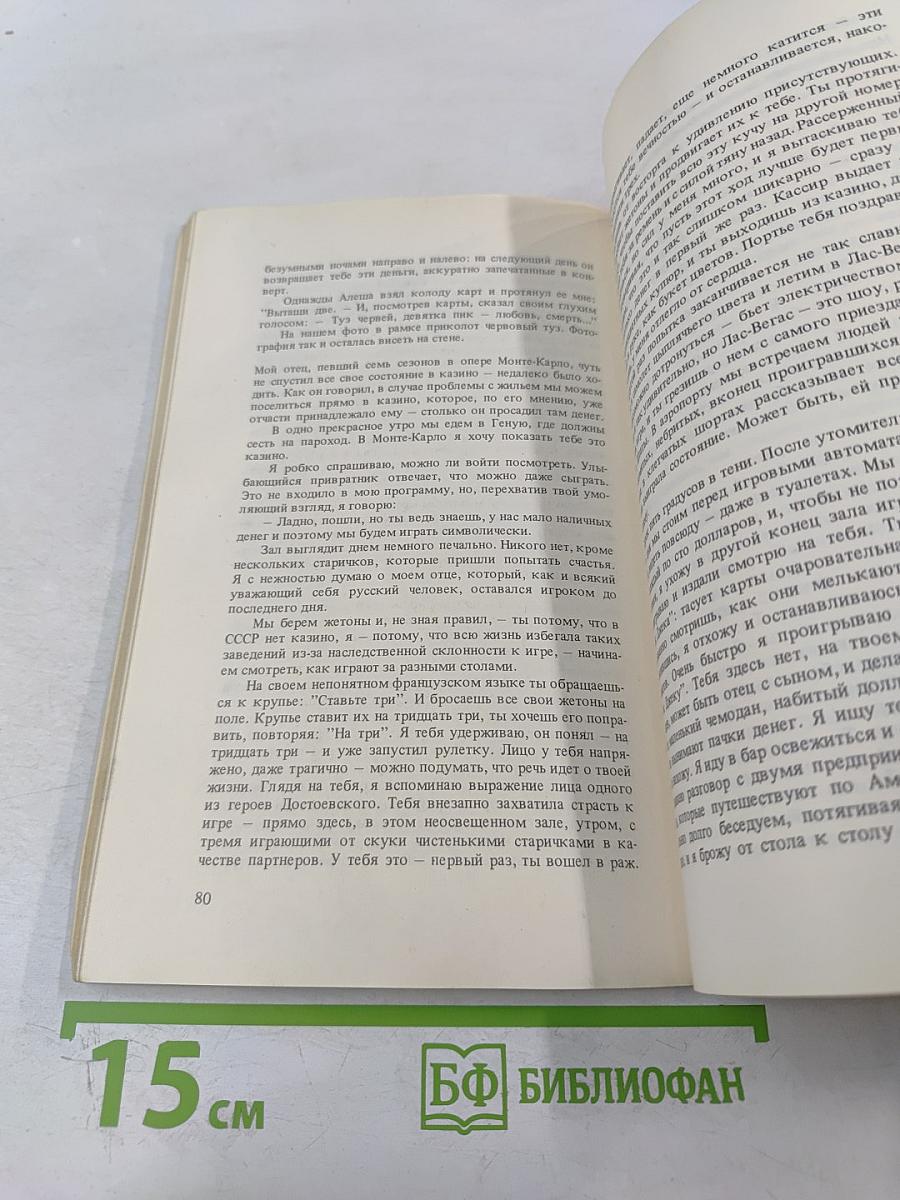 Владимир, или Прерванный полет