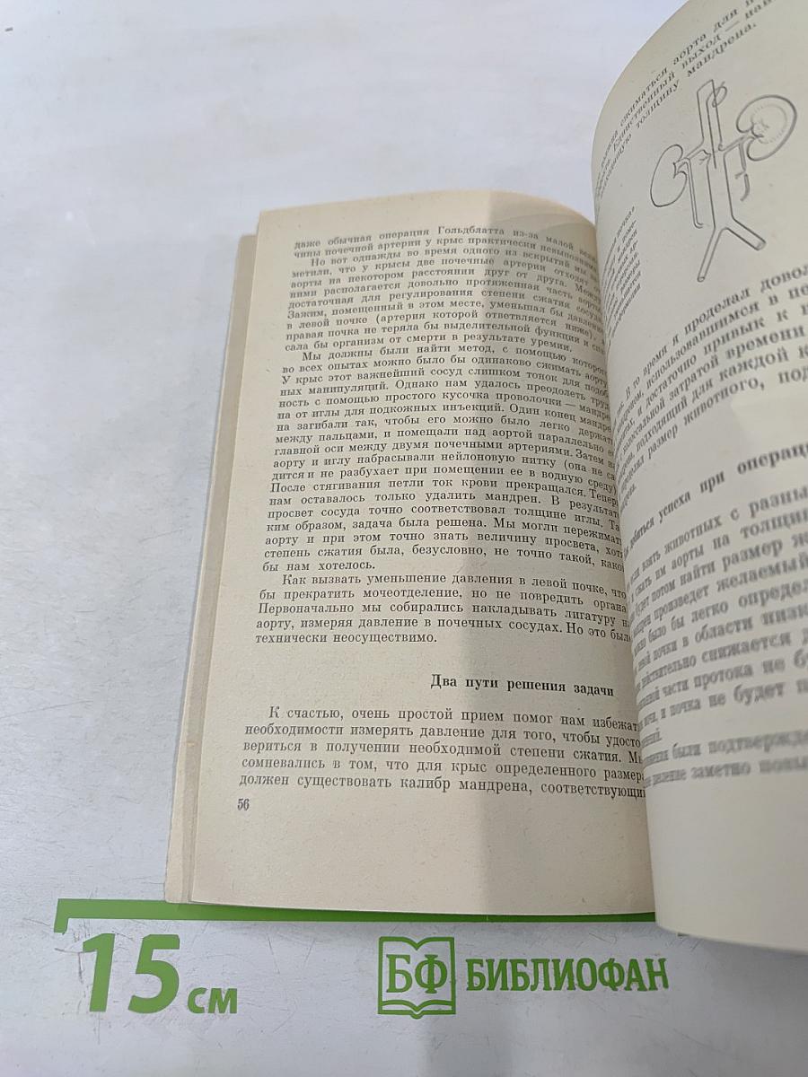 На уровне целого организма