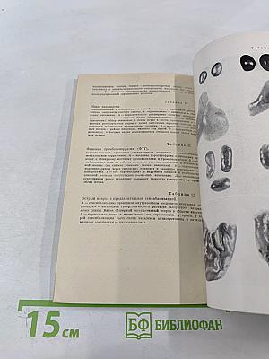 На уровне целого организма