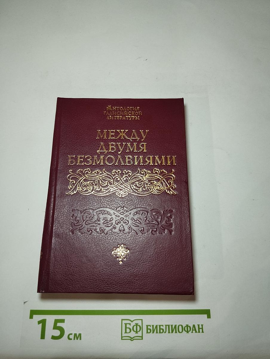 Между двумя безмолвиями