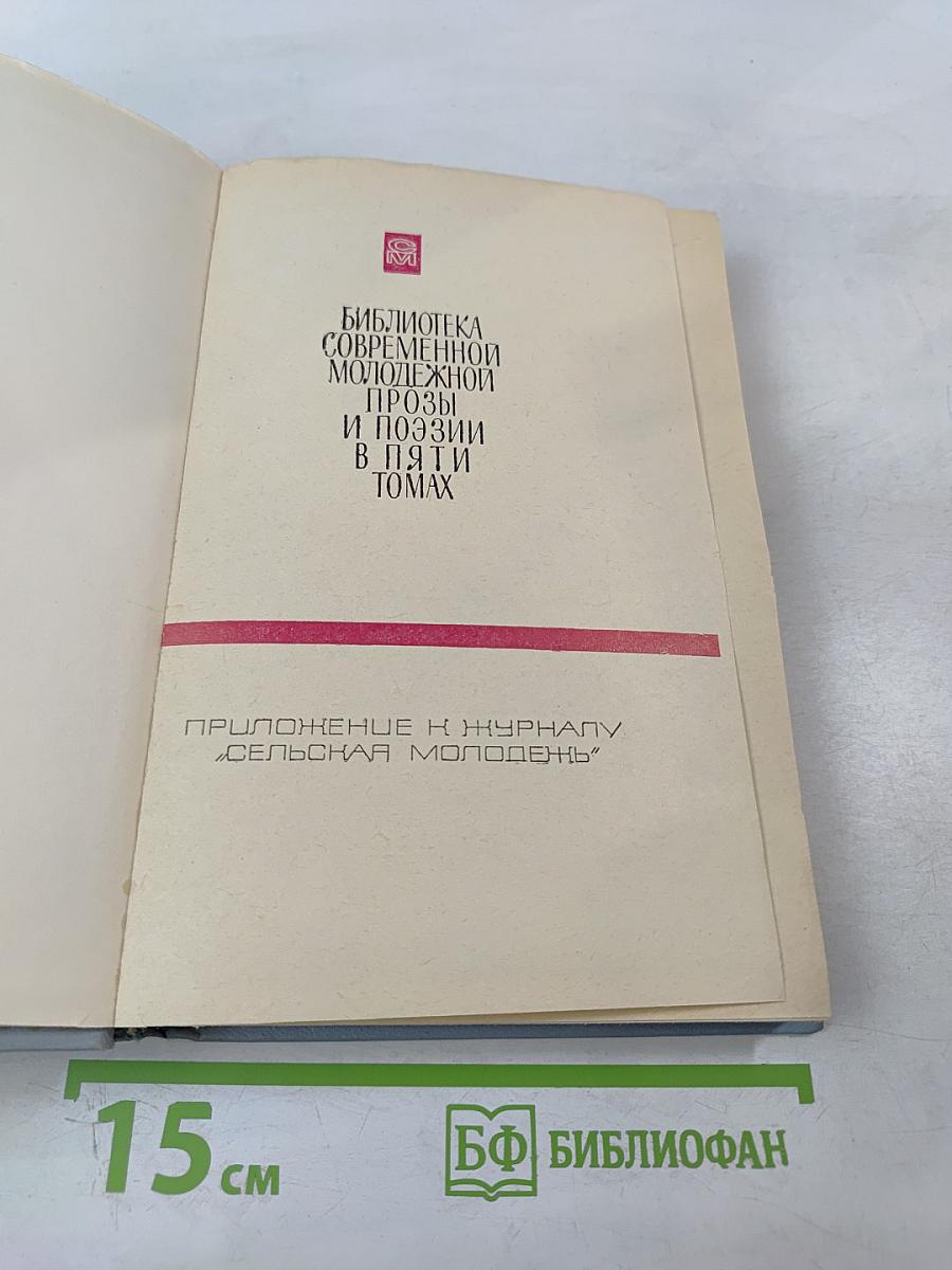 Библиотека современной молодежной прозы и поэзии. Том 2