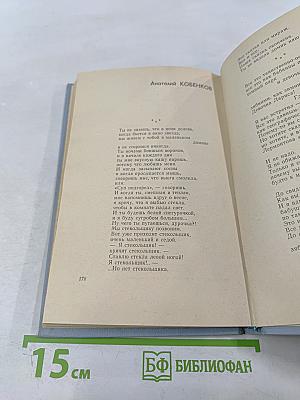 Библиотека современной молодежной прозы и поэзии. Том 5