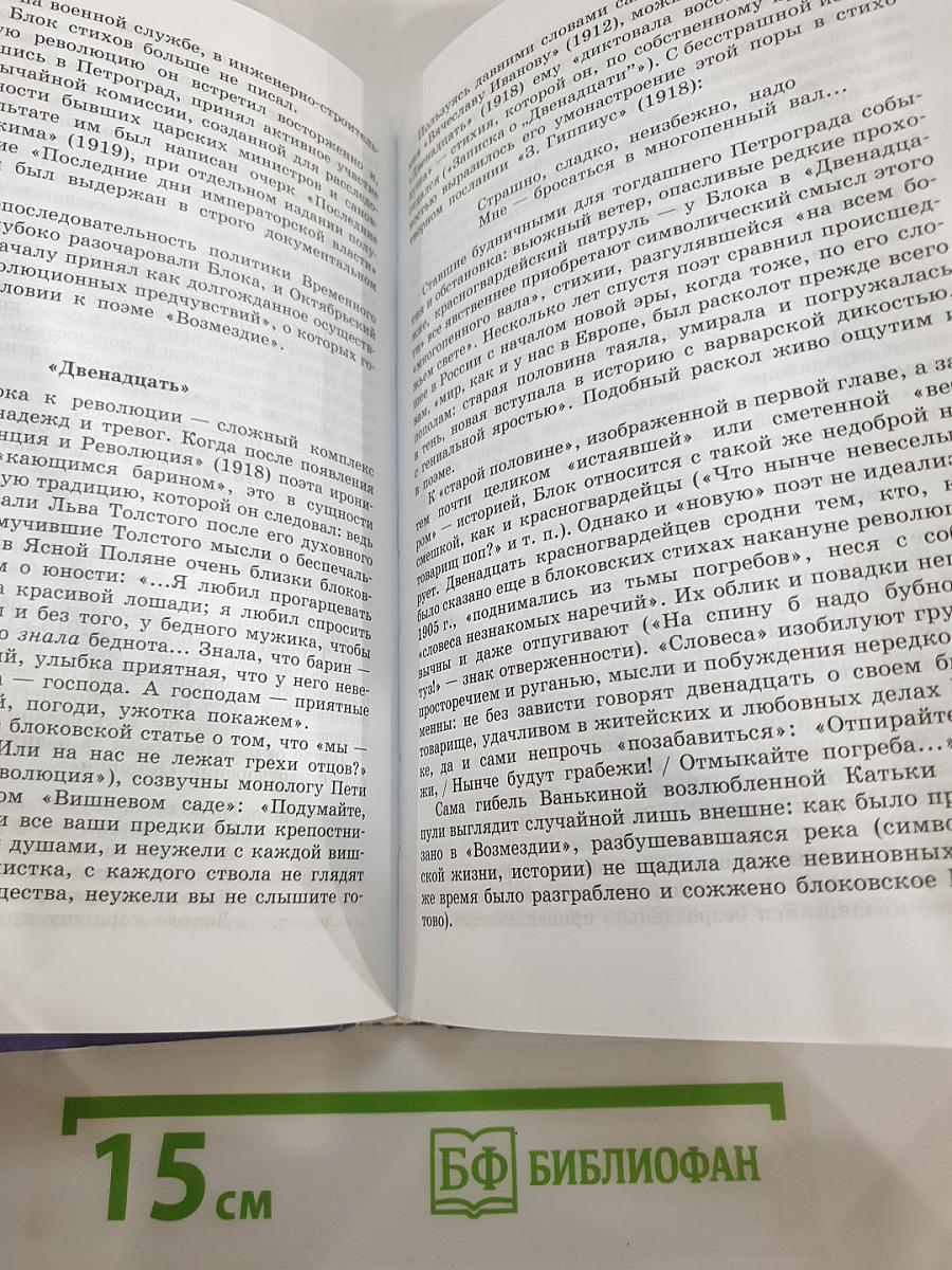 Литература. 11 класс. Часть 1