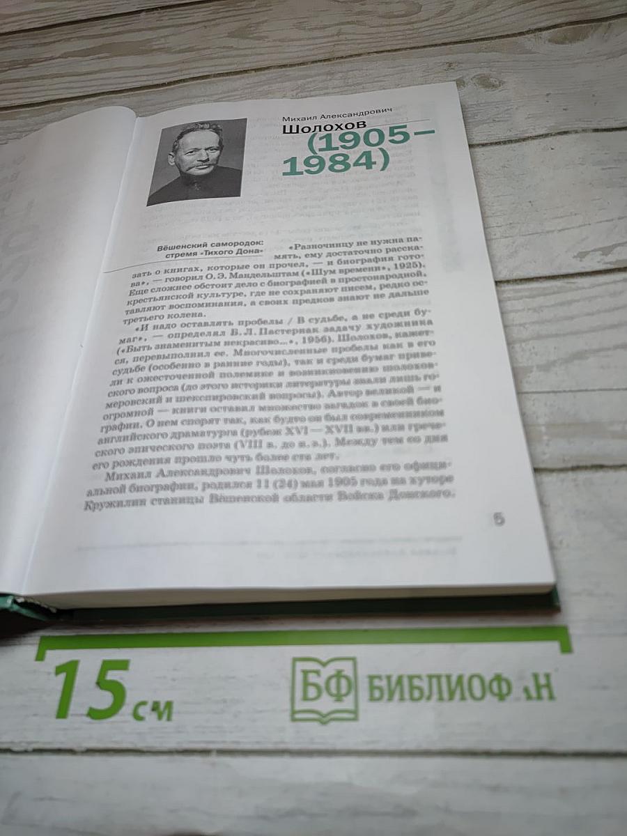 Литература. Учебник для 11 класса. В двух частях. Часть 2