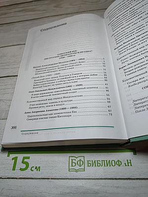 Литература. Учебник для 11 класса. В двух частях. Часть 2