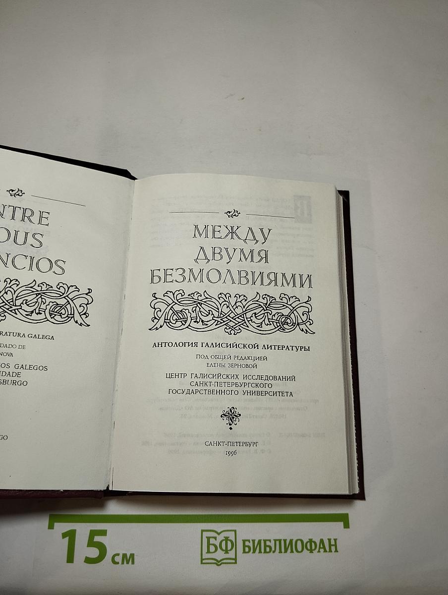 Между двумя безмолвиями