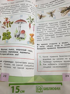 Окружающий мир 2 класс, Часть 2