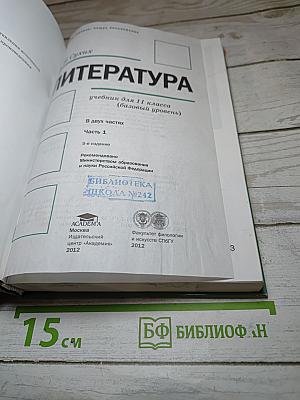Литература 11 класс. Часть 1