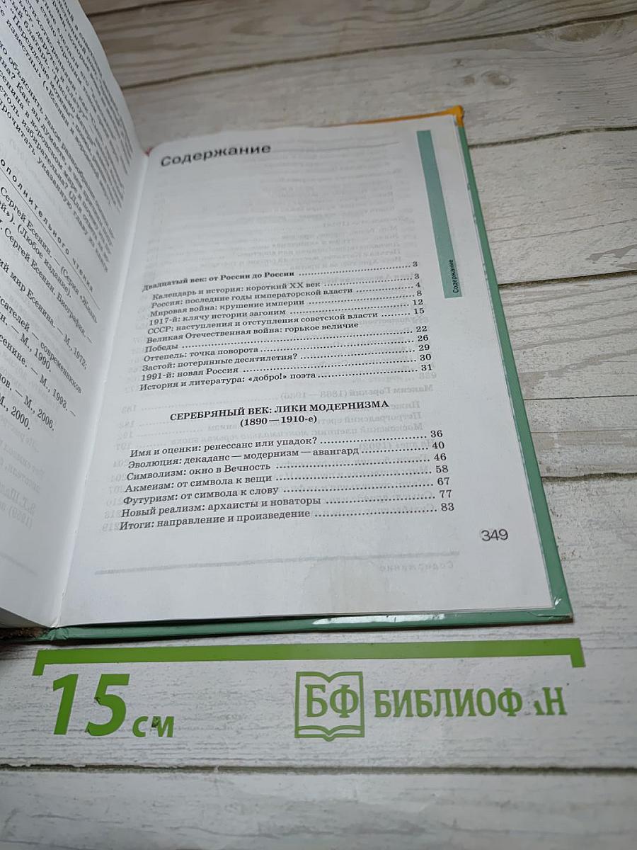 Литература 11 класс. Часть 1