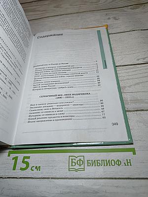 Литература 11 класс. Часть 1