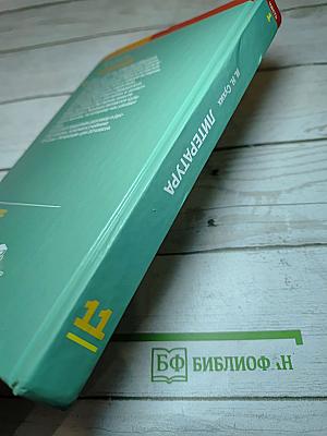 Литература 11 класс. Часть 1