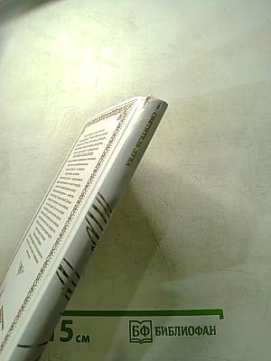 Святитель Лука