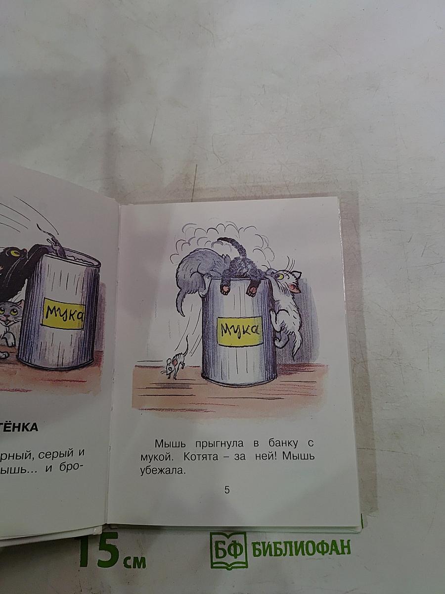 Три котёнка