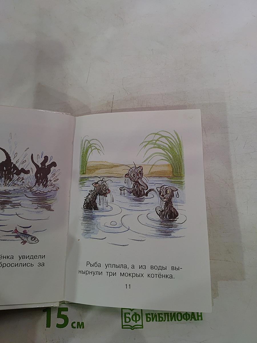 Три котёнка