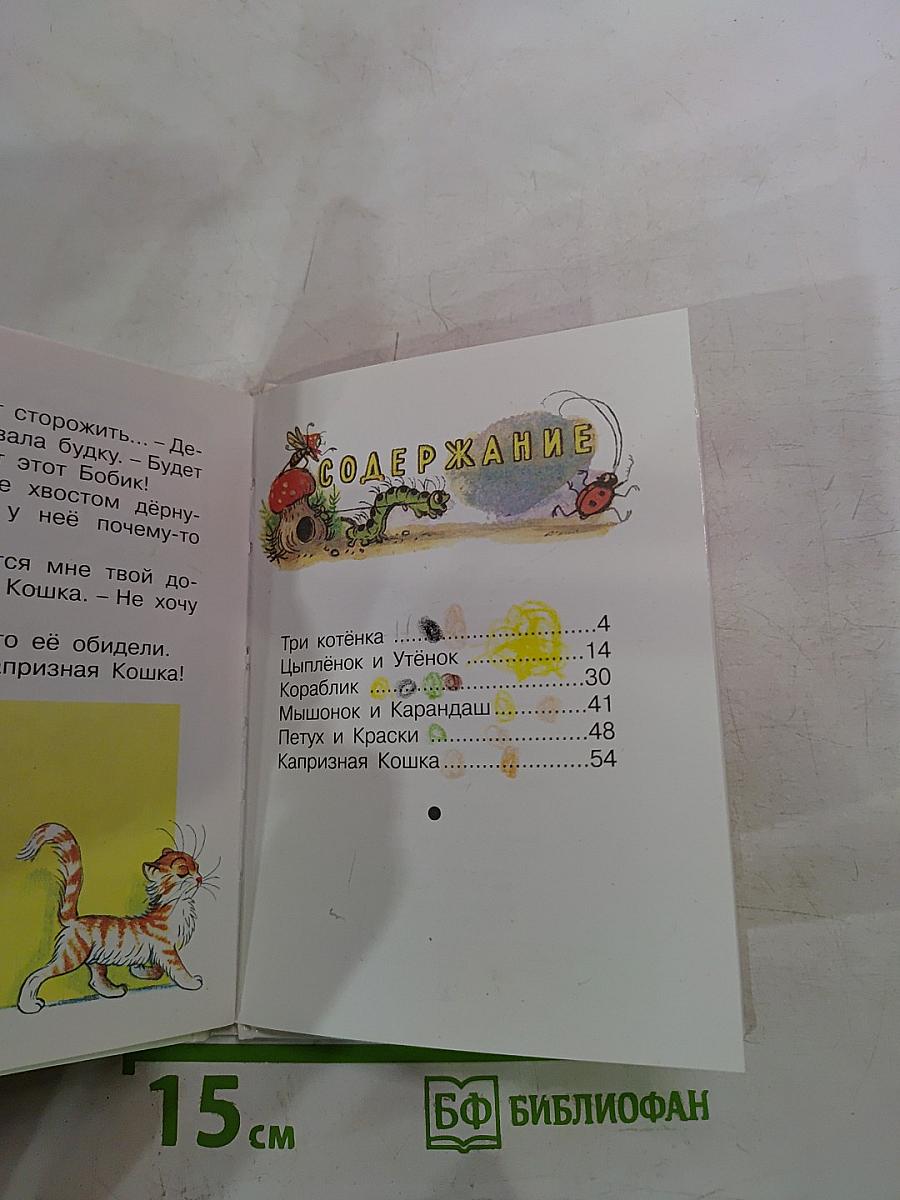 Три котёнка