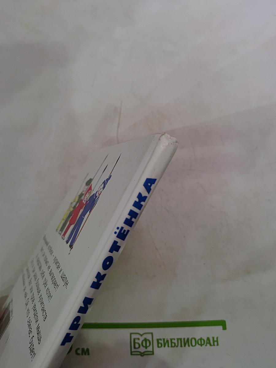 Три котёнка