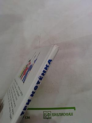 Три котёнка