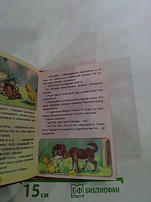 Крошка Енот