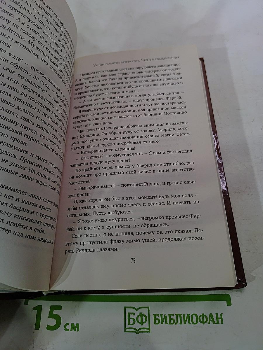Улицы разбитых артефактов. Череп в холодильнике