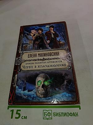 Улицы разбитых артефактов. Череп в холодильнике