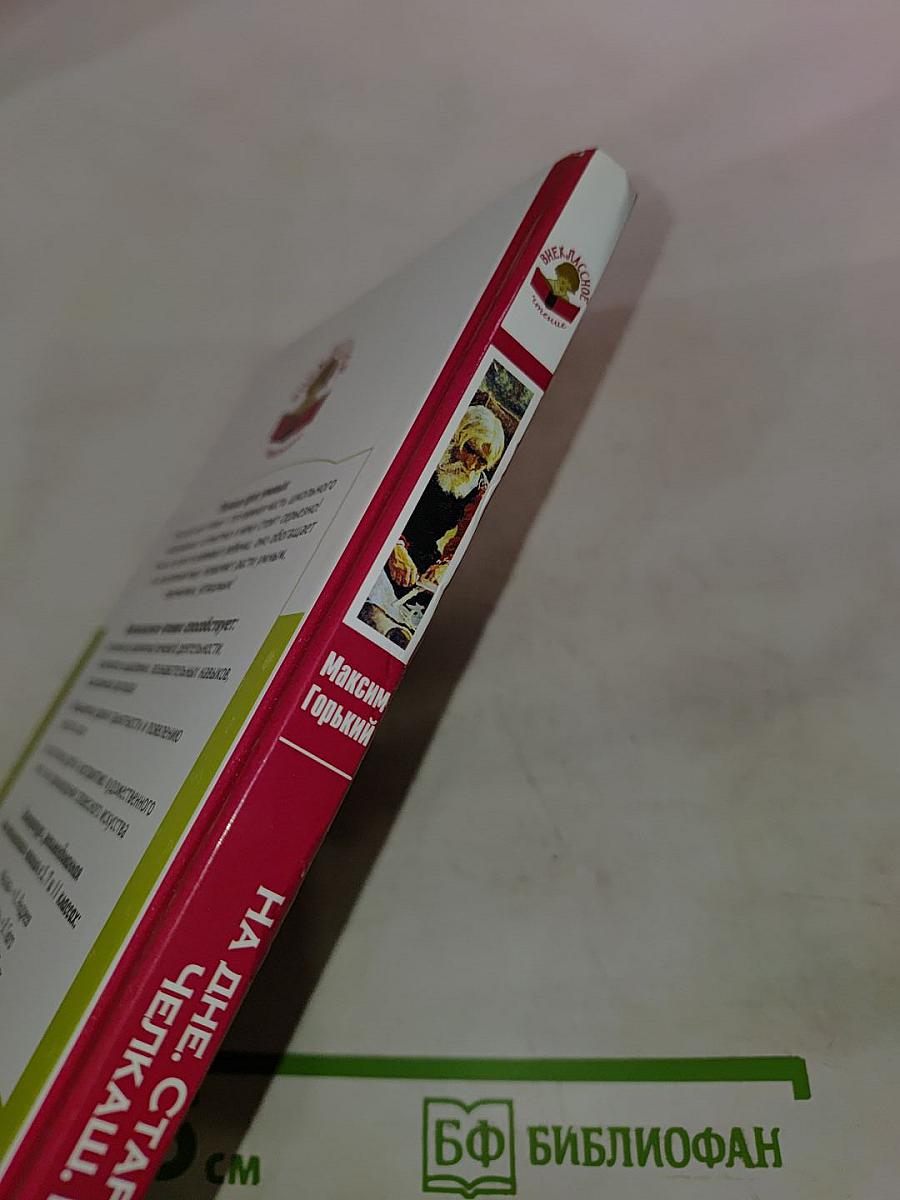 На дне. Старуха Изергиль. Челкаш. Рассказы. Внеклассное чтение для 5, 7 и 11 классов