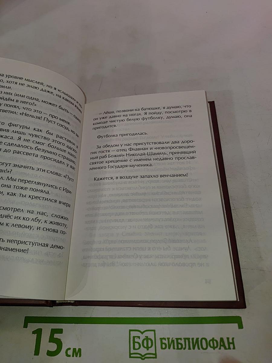 Флавиан. Жизнь продолжается