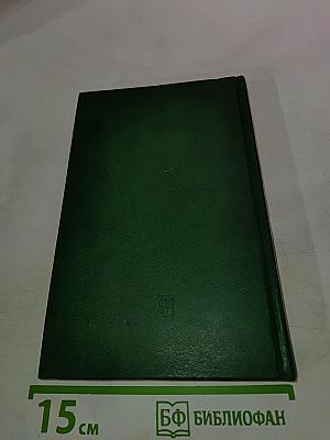 Скромный кондотьер. Феномен Че Гевары