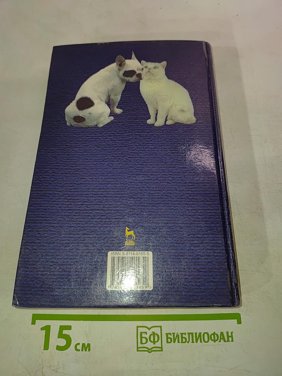 Болезни мелких животных: Диагностика, лечение, профилактика