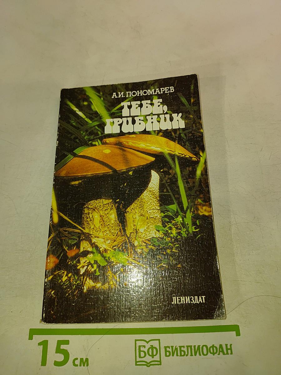 Тебе, грибник