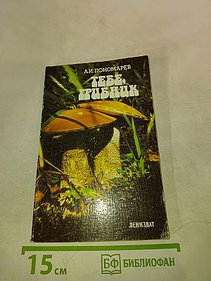 Тебе, грибник