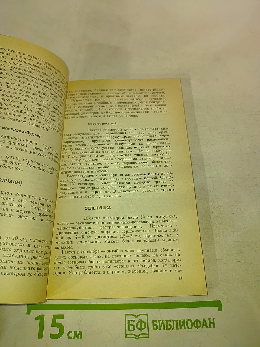 Тебе, грибник