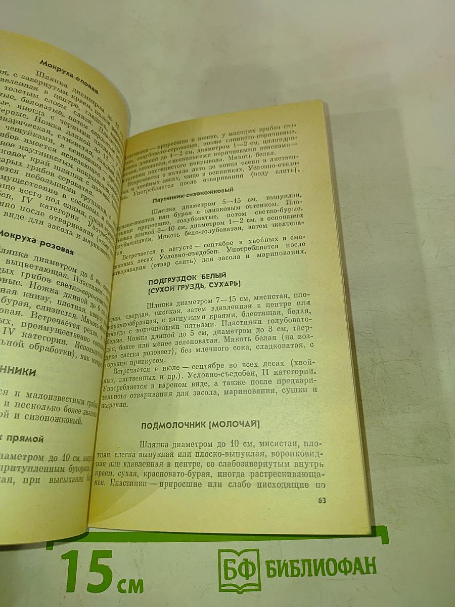 Тебе, грибник