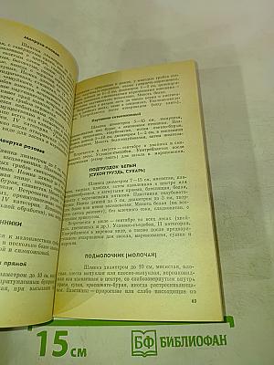 Тебе, грибник