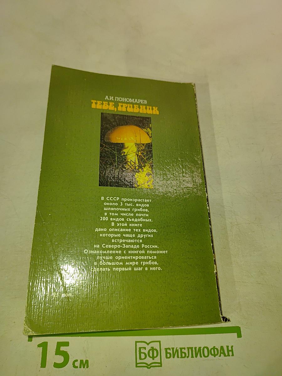 Тебе, грибник