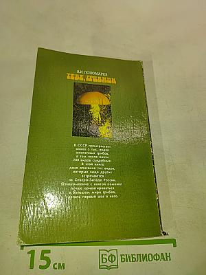 Тебе, грибник