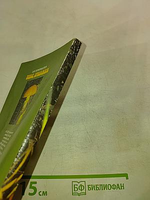 Тебе, грибник