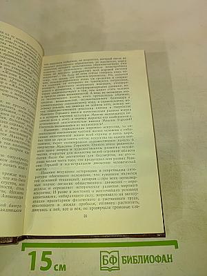 Волшебное зрение