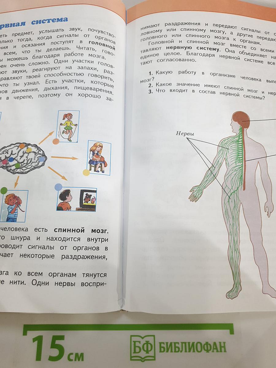 Окружающий мир 3 класс Часть 2