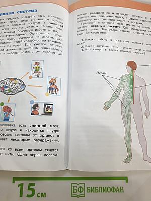 Окружающий мир 3 класс Часть 2