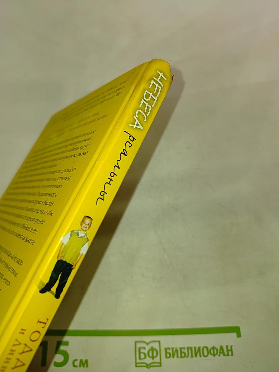 Небеса реальны