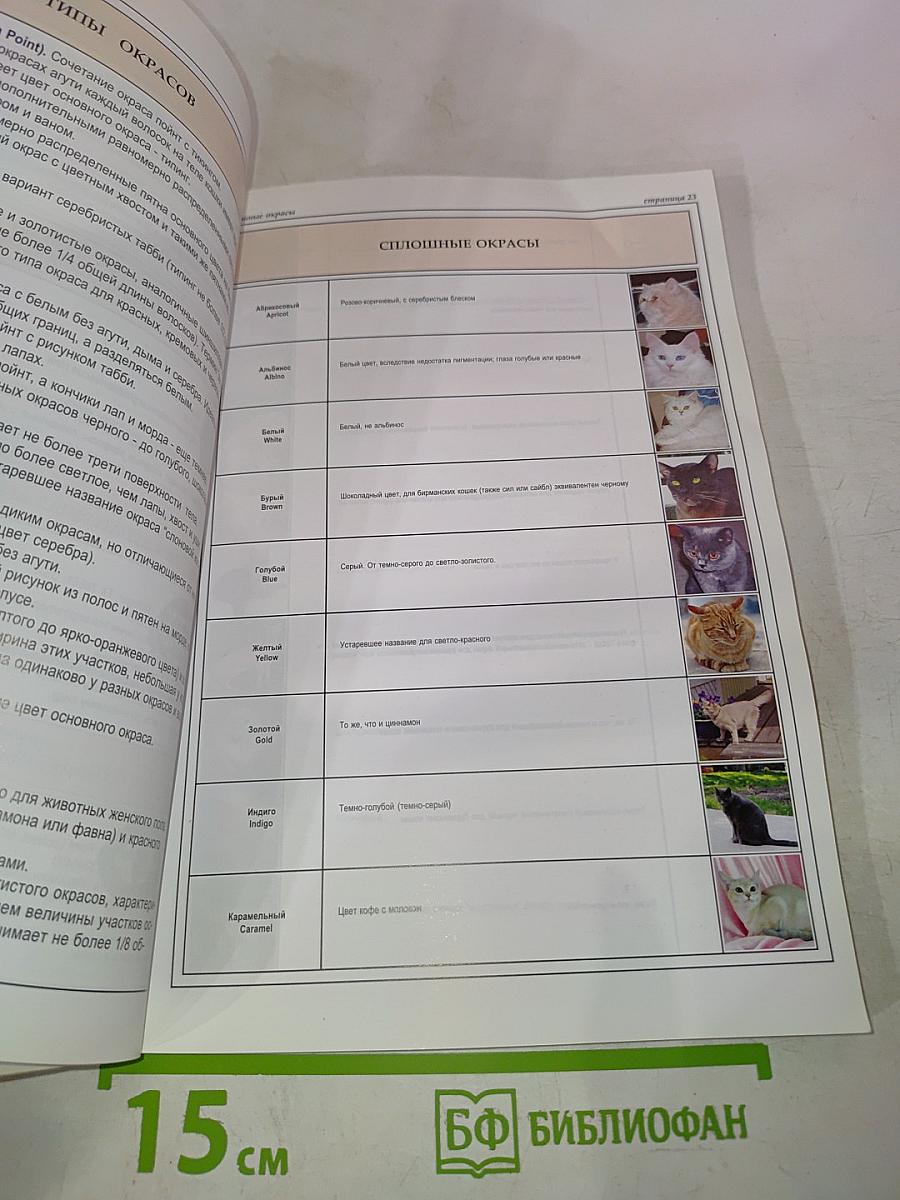 Всё о породах кошек