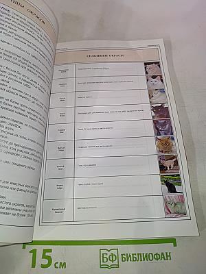 Всё о породах кошек