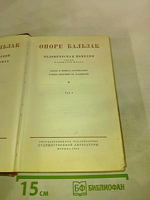 Человеческая комедия. Блеск и нищета куртизанок. Тайны княгини де Кадиньян. Том 9
