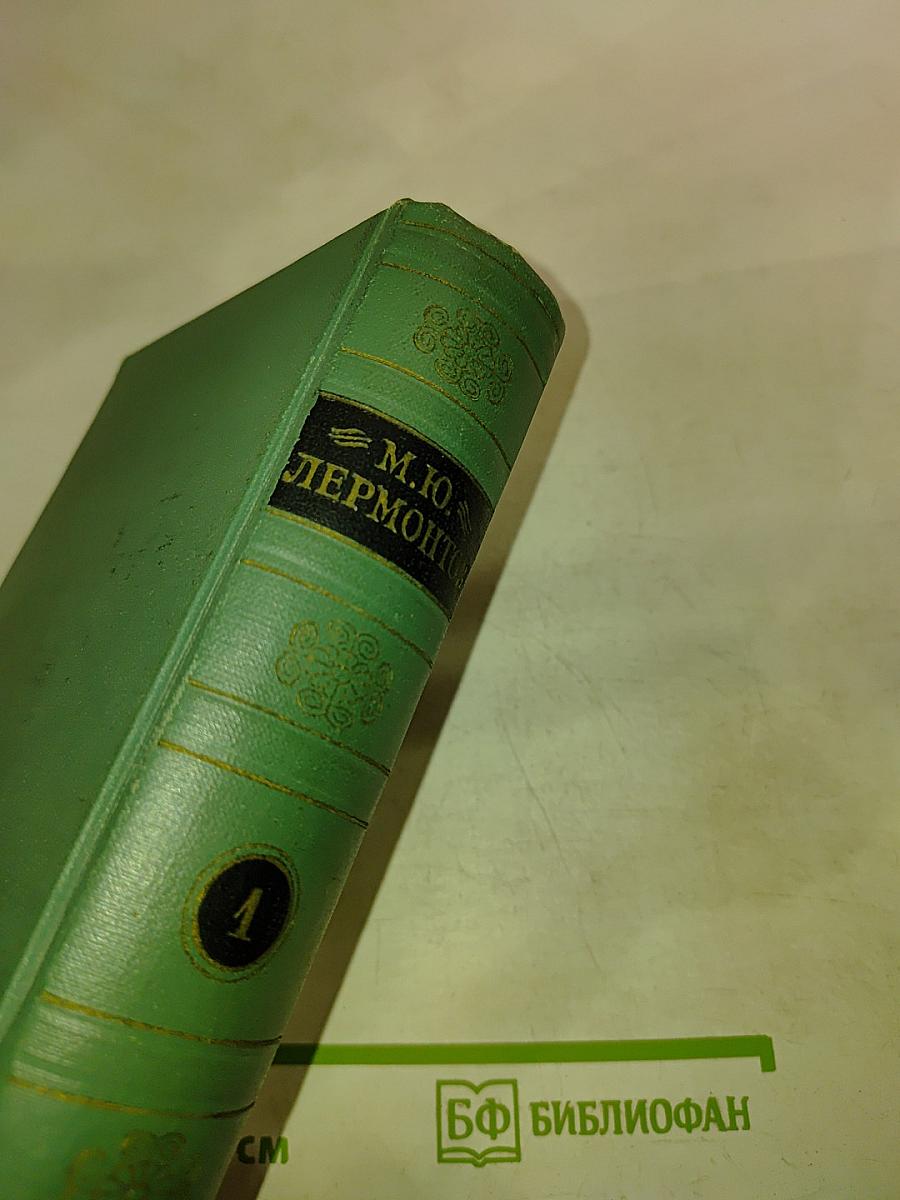 Стихотворения 1828-1841. Том первый