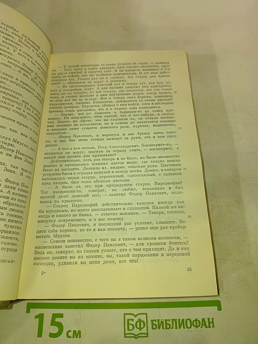 Братья Карамазовы. Том четырнадцатый