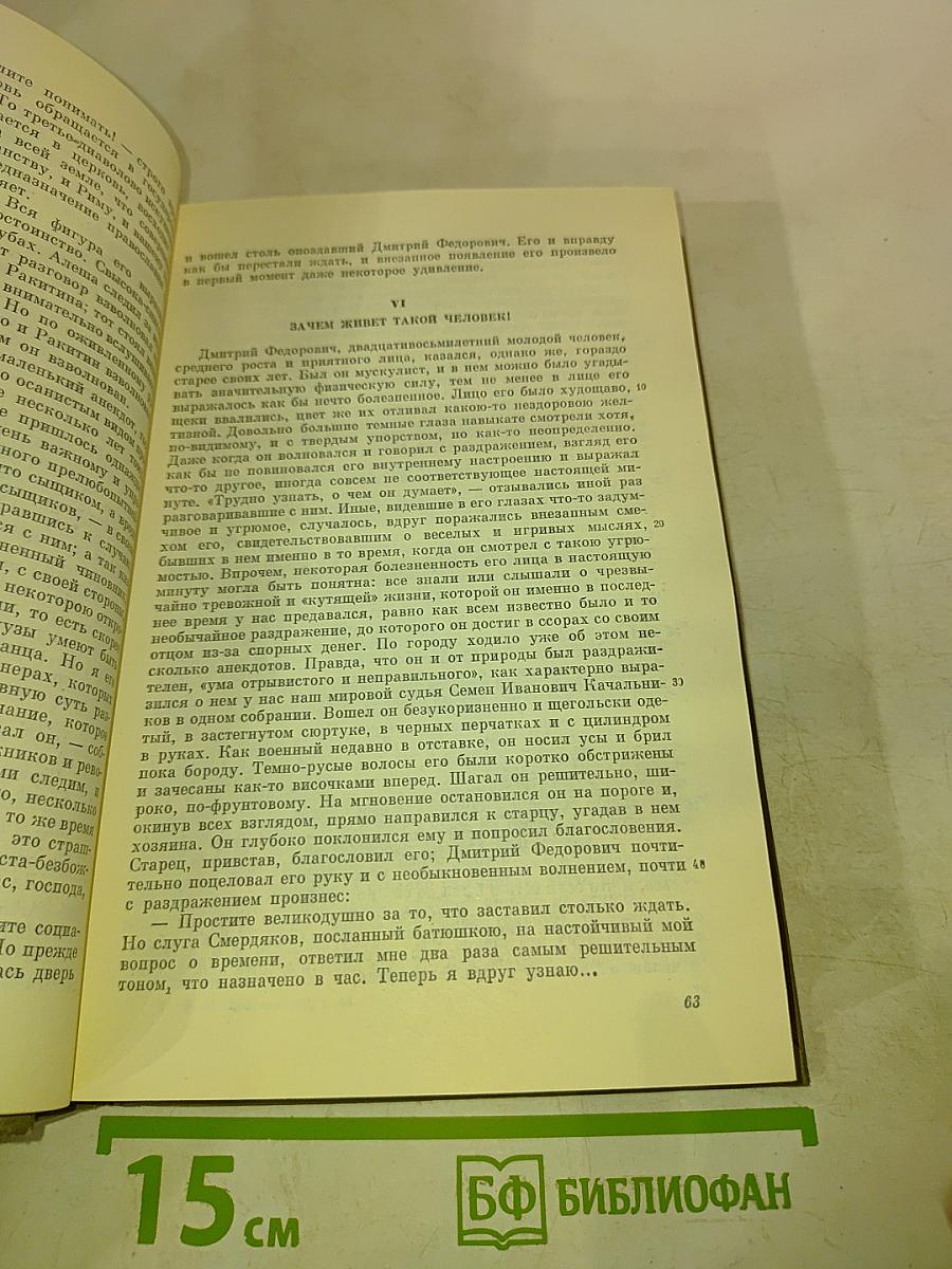 Братья Карамазовы. Том четырнадцатый